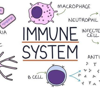 Boost Your Immune System with These 5 Simple Tips