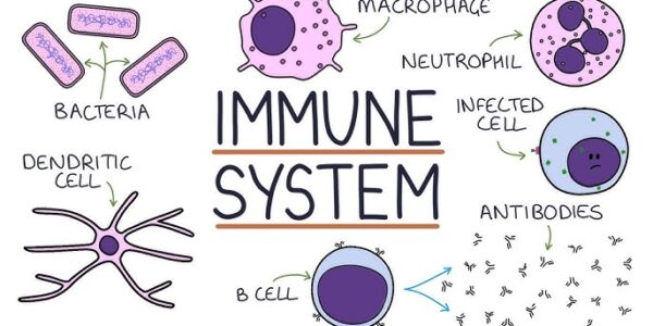 Boost Your Immune System with These 5 Simple Tips