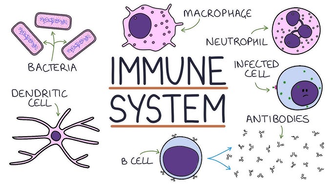 Boost Your Immune System with These 5 Simple Tips